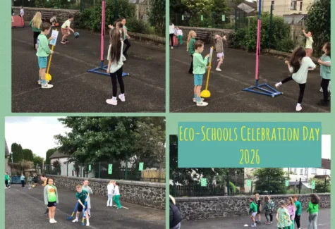 IMG 0804 260619 152409