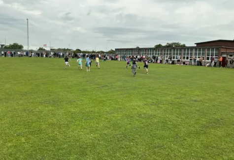 IMG 1266 260615 154711