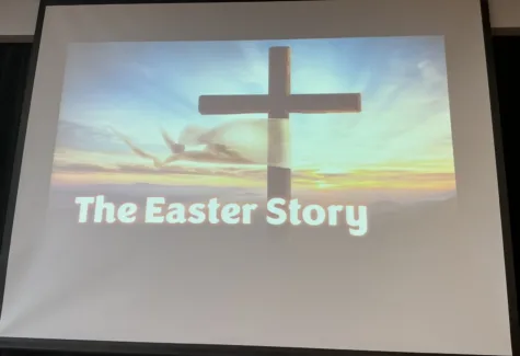 IMG 0445 260401 132531