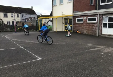 IMG 1120
