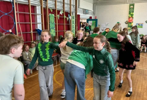 IMG 0239