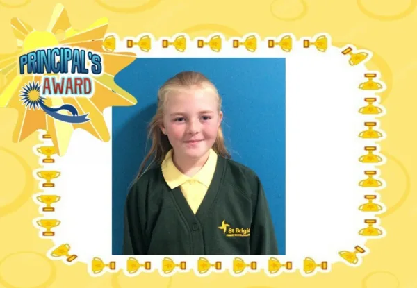 Slide9 251114 141144